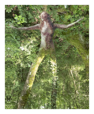 SPIRITUEL, style photo, la dryade Invocatrice