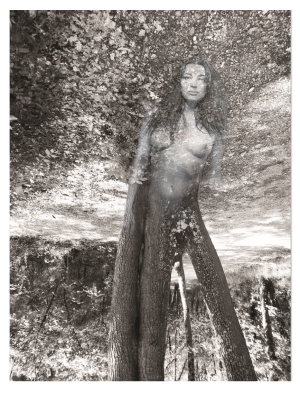 SPIRITUEL, style photo, la dryade-curieuse