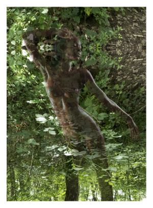 SPIRITUEL, style photo, la dryade réveuse