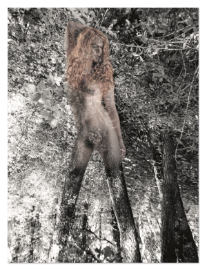 SPIRITUEL, style photo, la dryade rousse