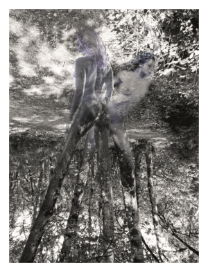 SPIRITUEL, style photo, les dryades-veillent